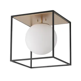 1-Light Square Metal Frame Globe Flush Mount Lighting