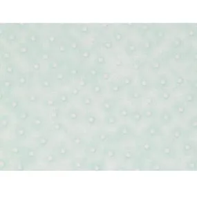 108" Blender Dot Quilt Backing - Cyan