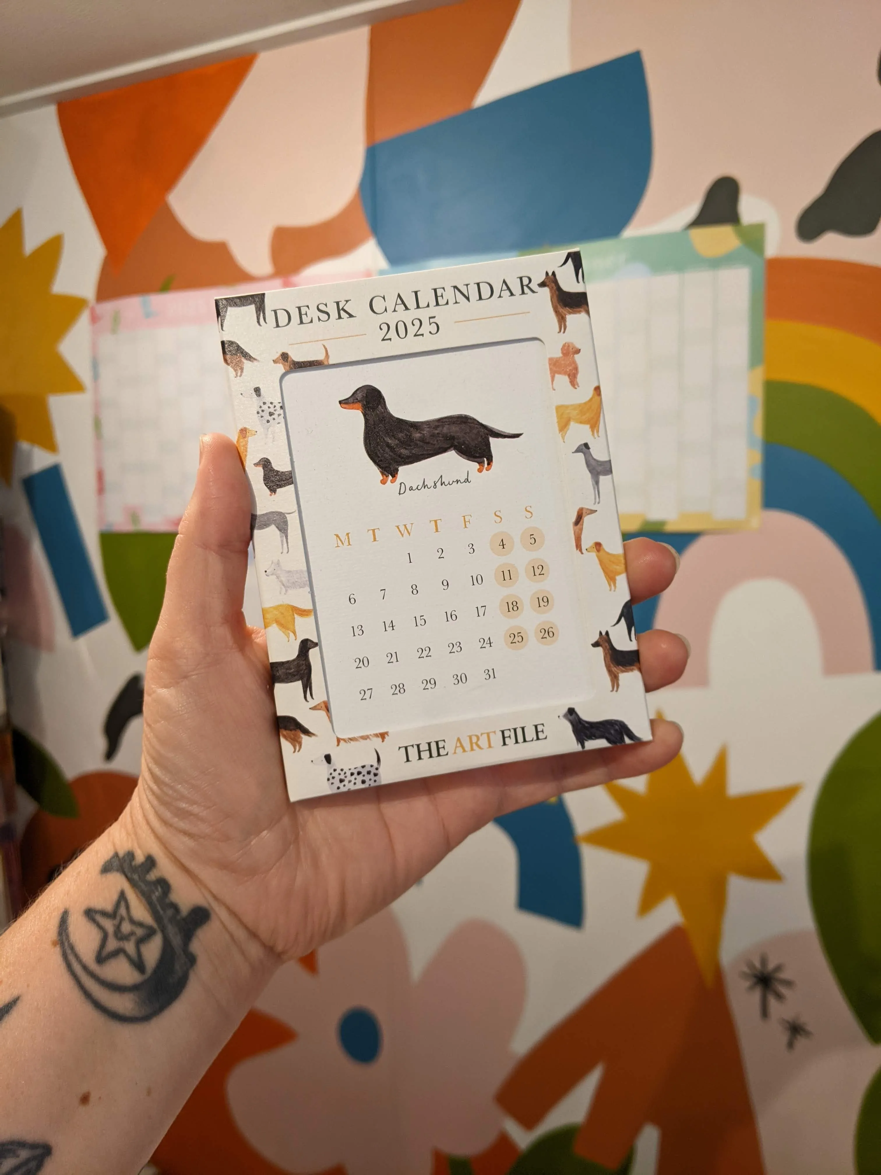 2025 Desk Calendar - Birds