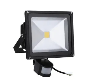 30W Flood Light With MOTION SENSOR (CLOSEOUT)