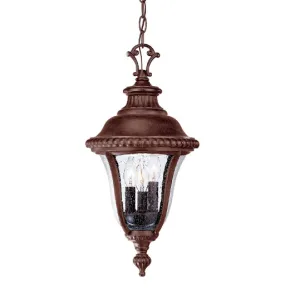 Acclaim Lighting Windsor 3 Light 20.5" Height Outdoor Pendant