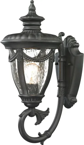 Anise 1 Light Outdoor Sconce In Textured Matte Black