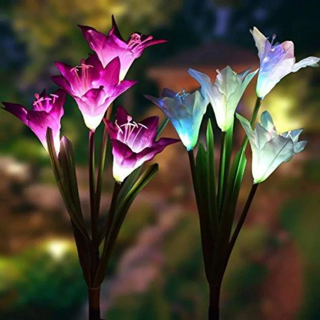 Eco-Friendly Enchanted Solar Lilies