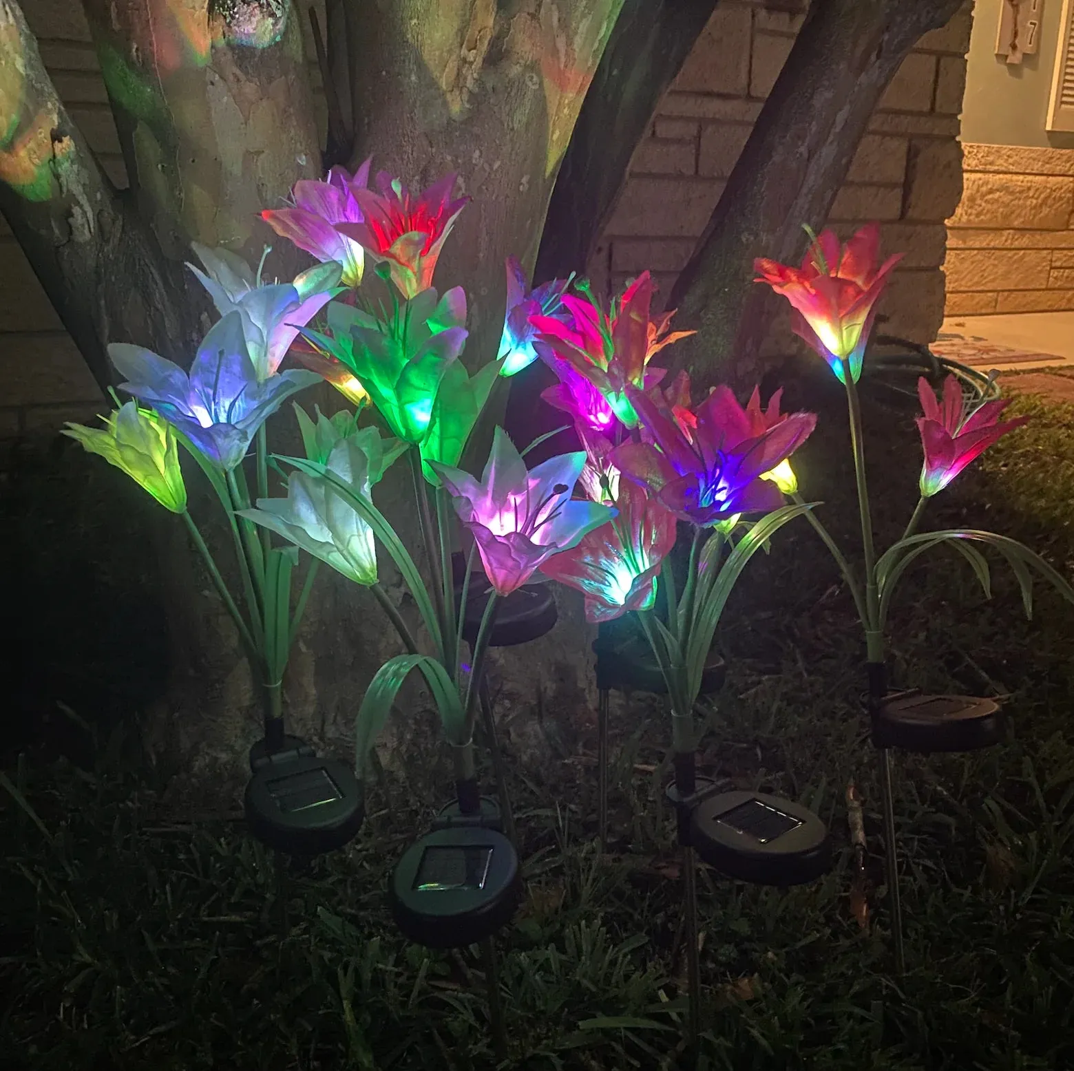 Eco-Friendly Enchanted Solar Lilies