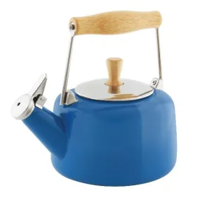 Enamel On Steel Teakettle