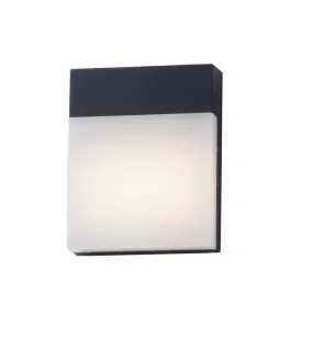 Eyebrow 6.25" Single Light Wall Sconce in Black